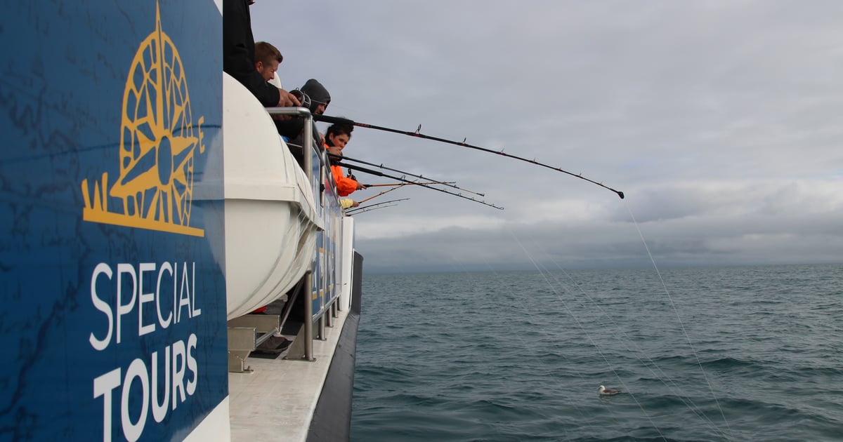 Ocean Angling Whale Watching & Sea Angling - Reykjavík | Lilja Tours