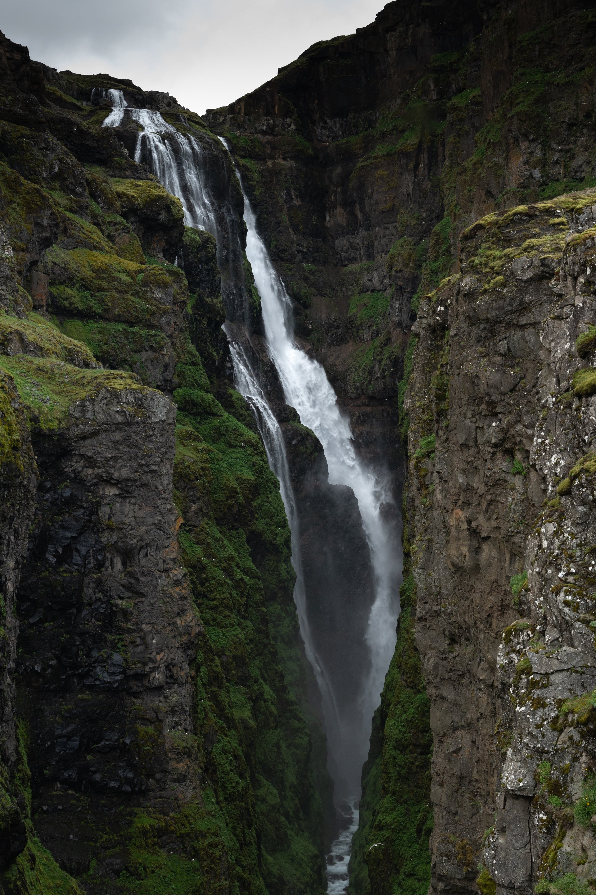 Trail through birch woodland along the Botnsá canyon approaching Glymur waterfall