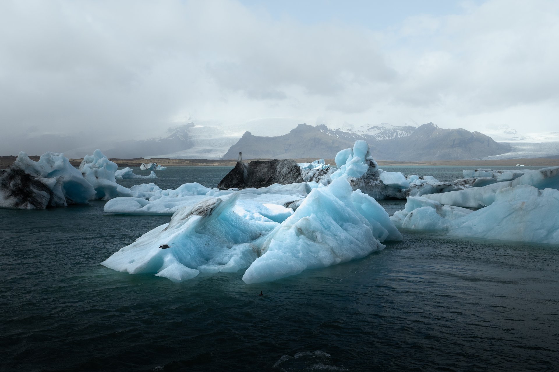 Icebergs floating in the serene waters of Jökulsárlón glacier lagoon