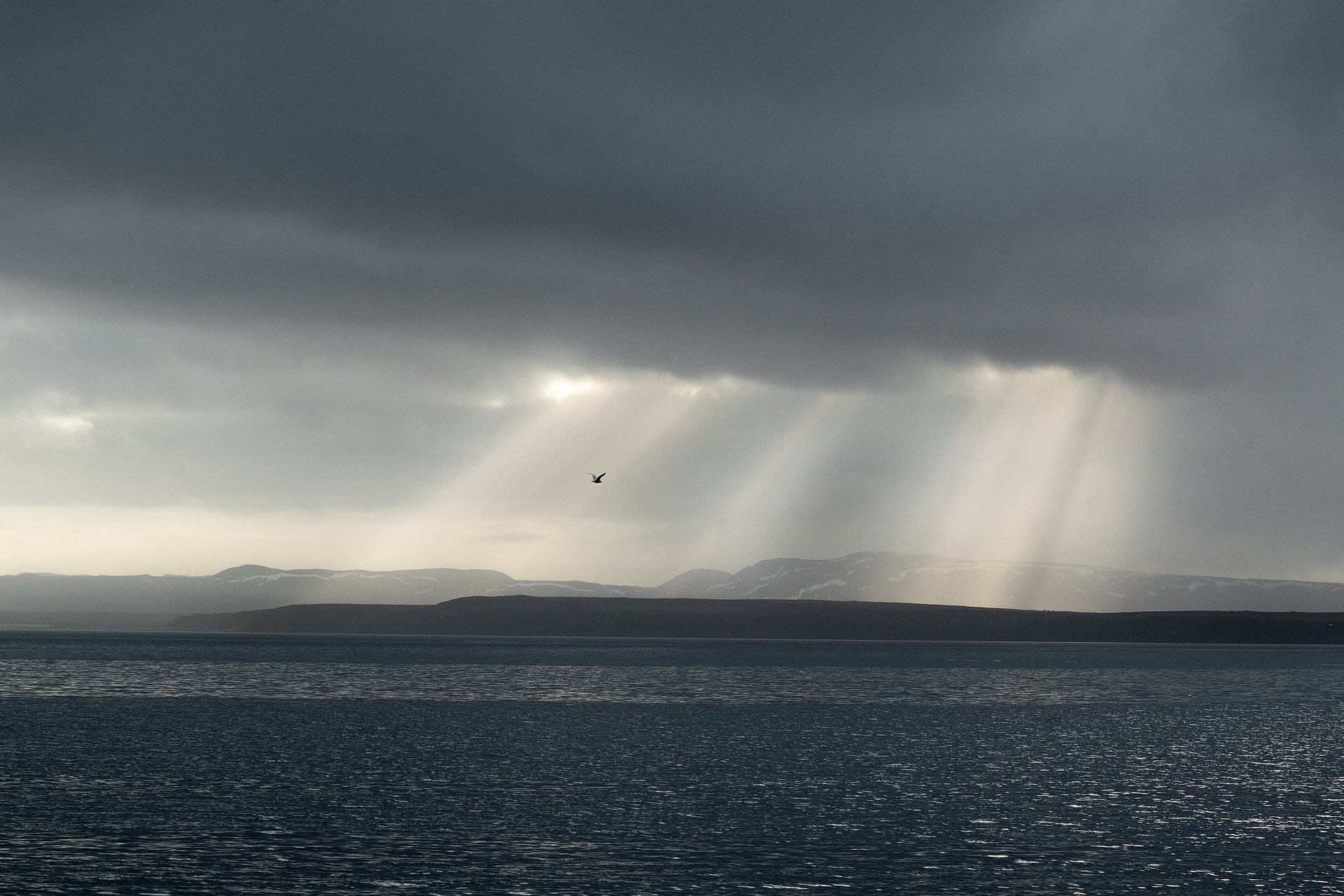 Iceland summer landscape with long golden light