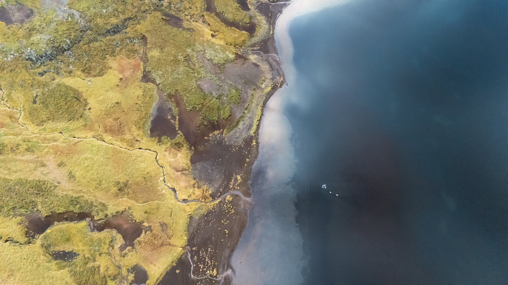 Berserkjahraun moss-covered lava formations Iceland