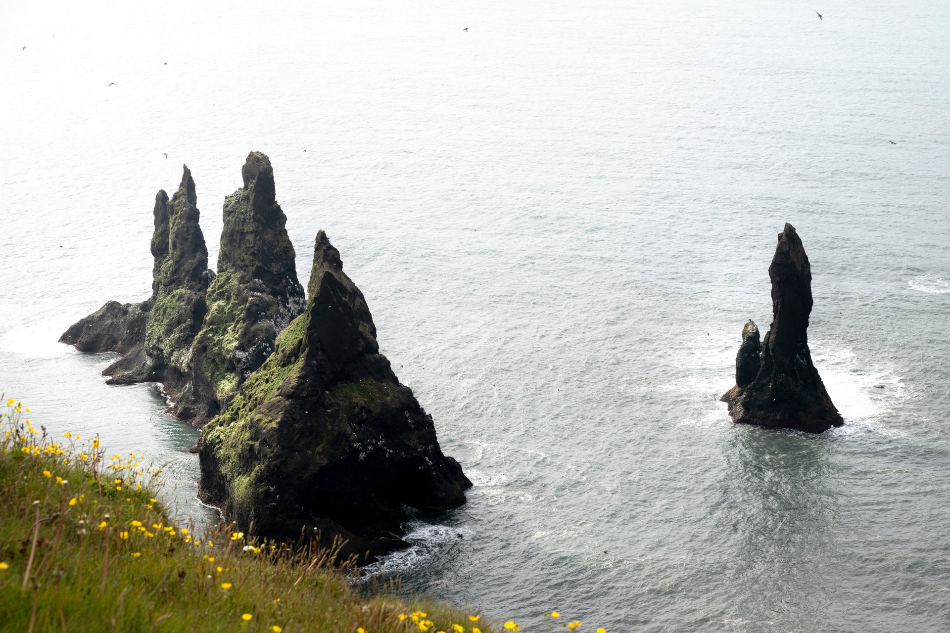 Complete guide to Iceland South Coast from Selfoss to Höfn with natural wonders