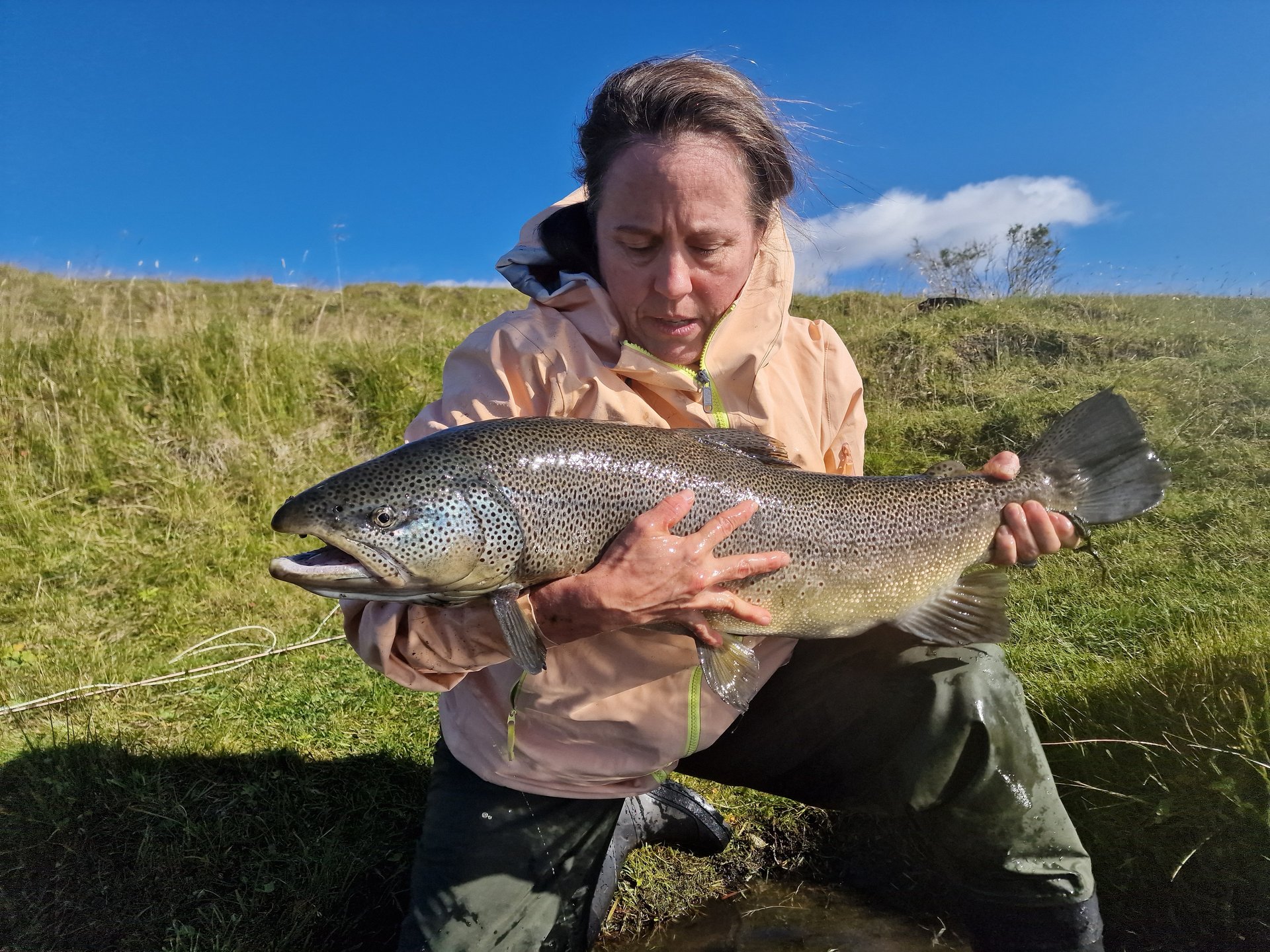 Angler with trophy brown trout on West Rangá River Iceland