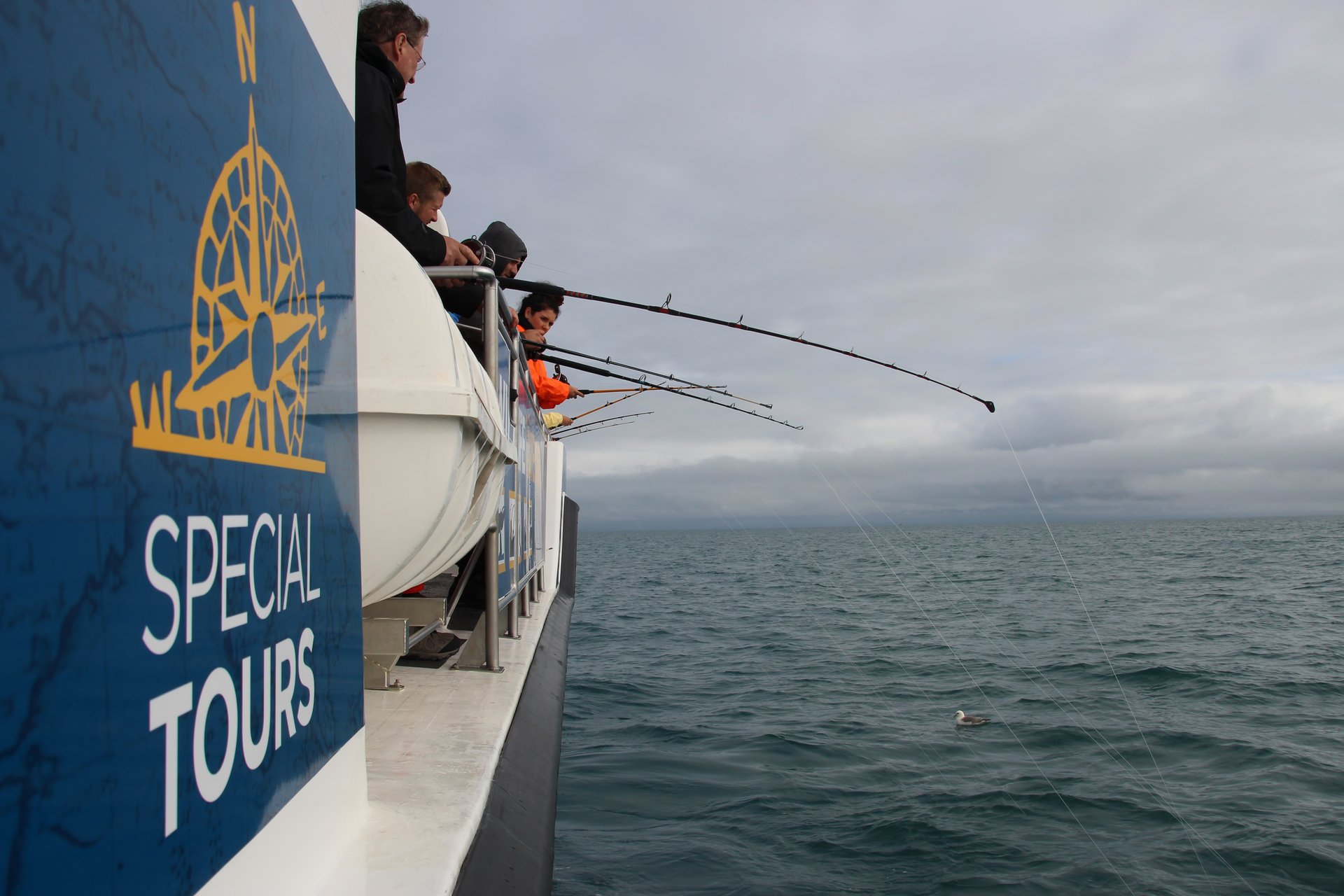 Marine wildlife and traditional Icelandic fishing experience from Reykjavík