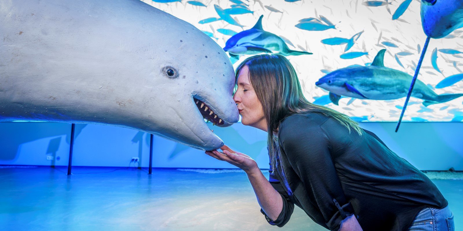 Famille explorant l'exposition sur les baleines dans le quartier du port de Reykjavík