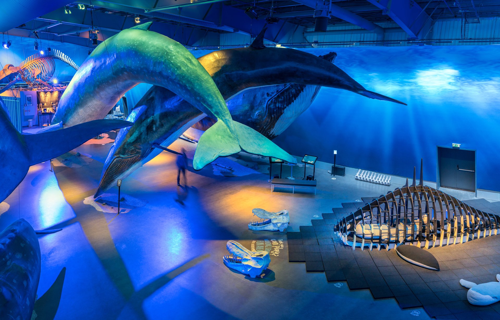 Interactive marine education center with 23 whale species at Whales of Iceland