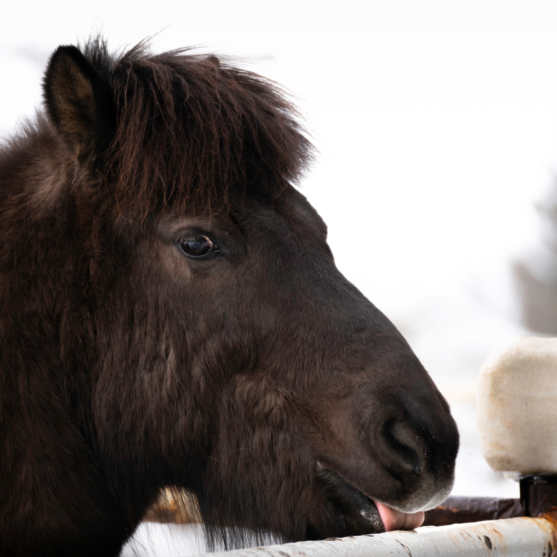 Fresh farm produce and sustainable farming practices showcase