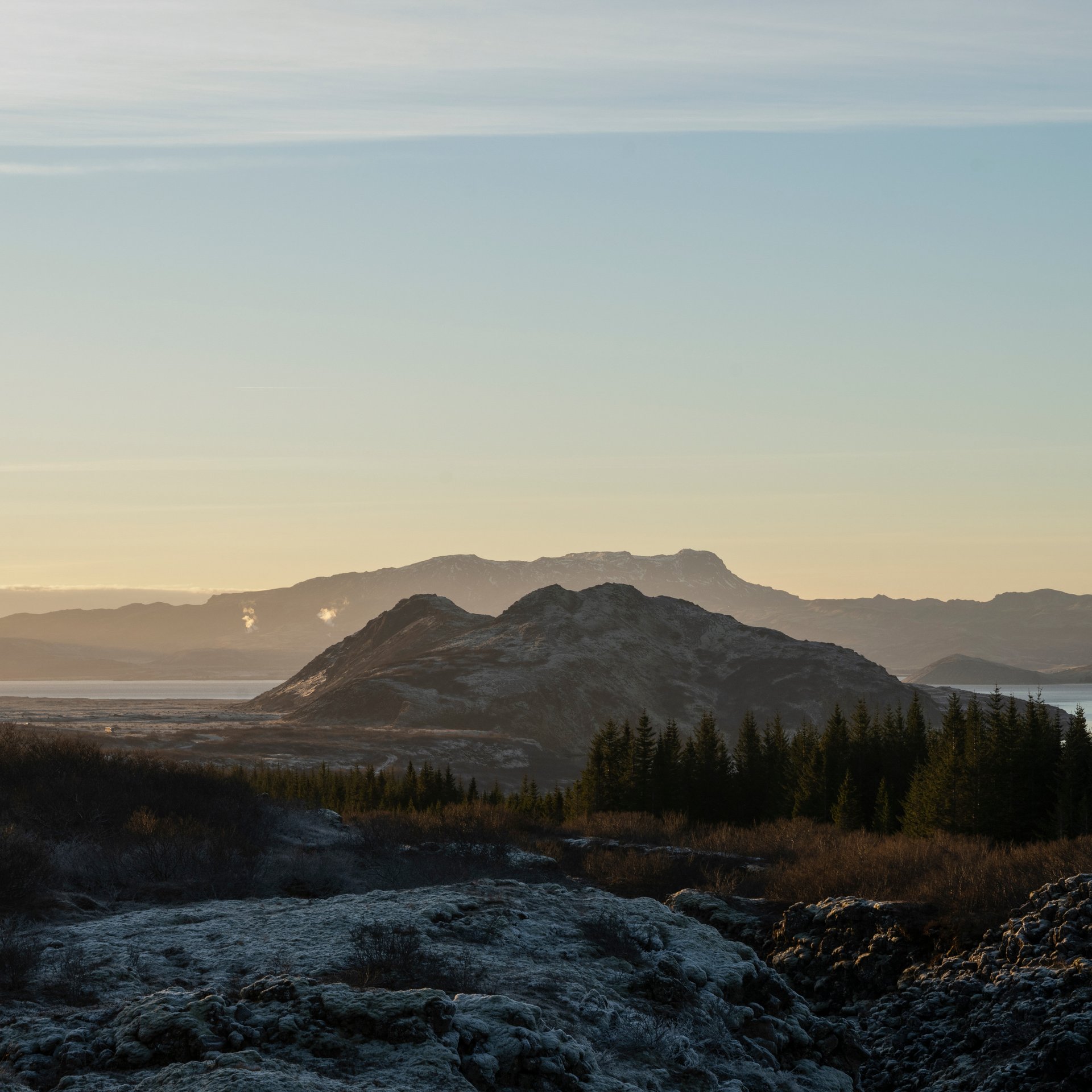 Friðheimar greenhouse innovative sustainable food production