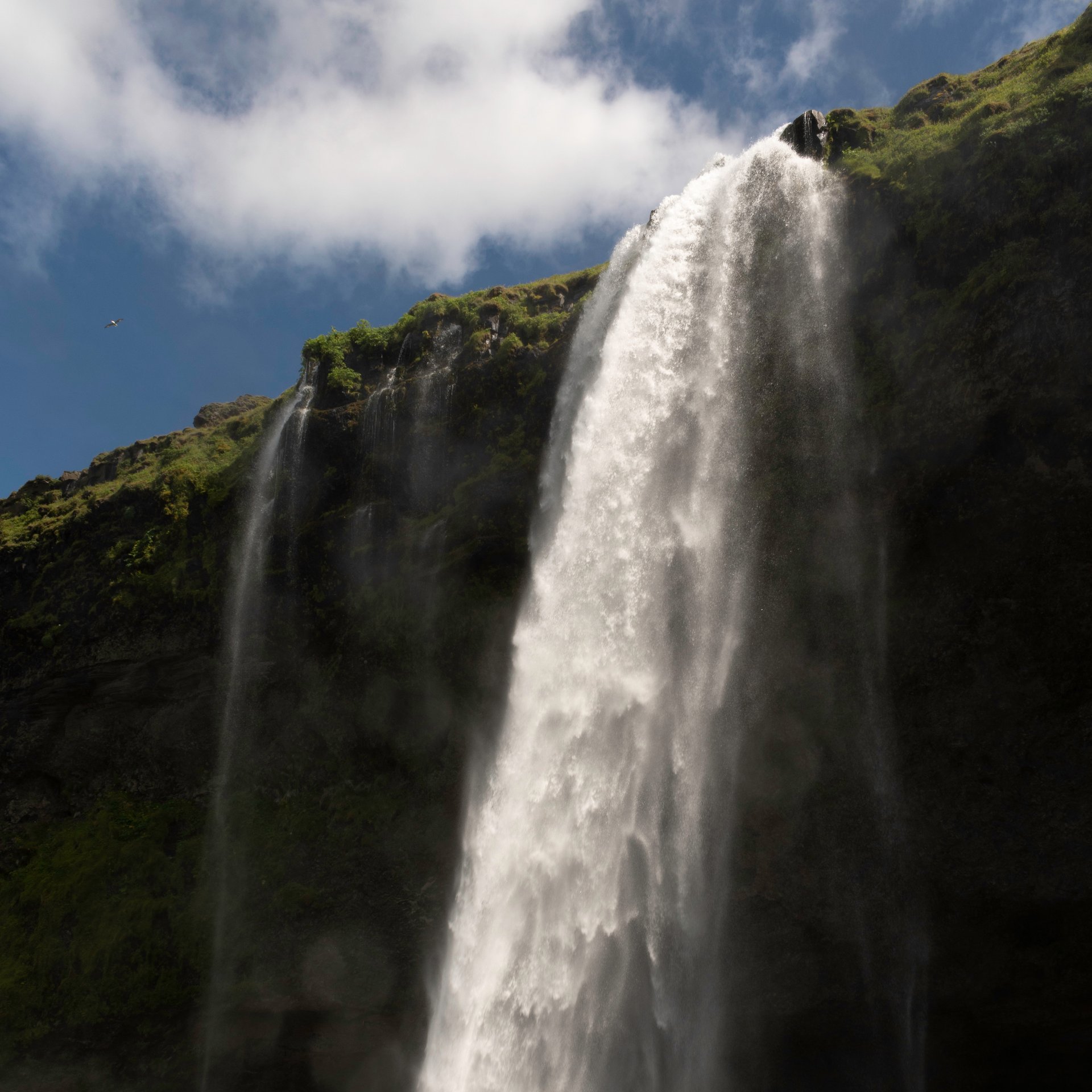 Glacier and mountain views on south coast tour