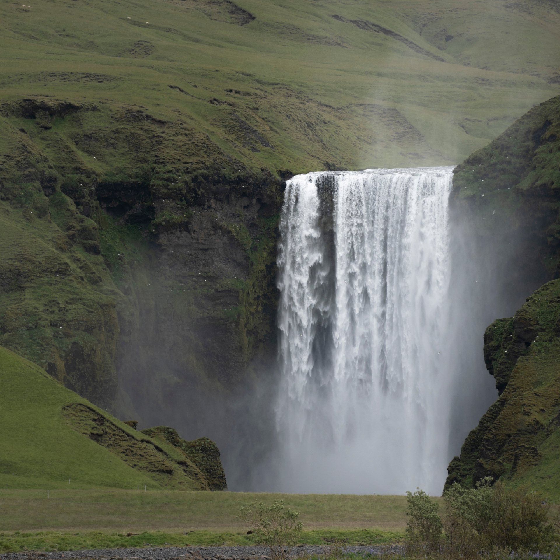 Group hiking across glacier ice with mountainous backdrop