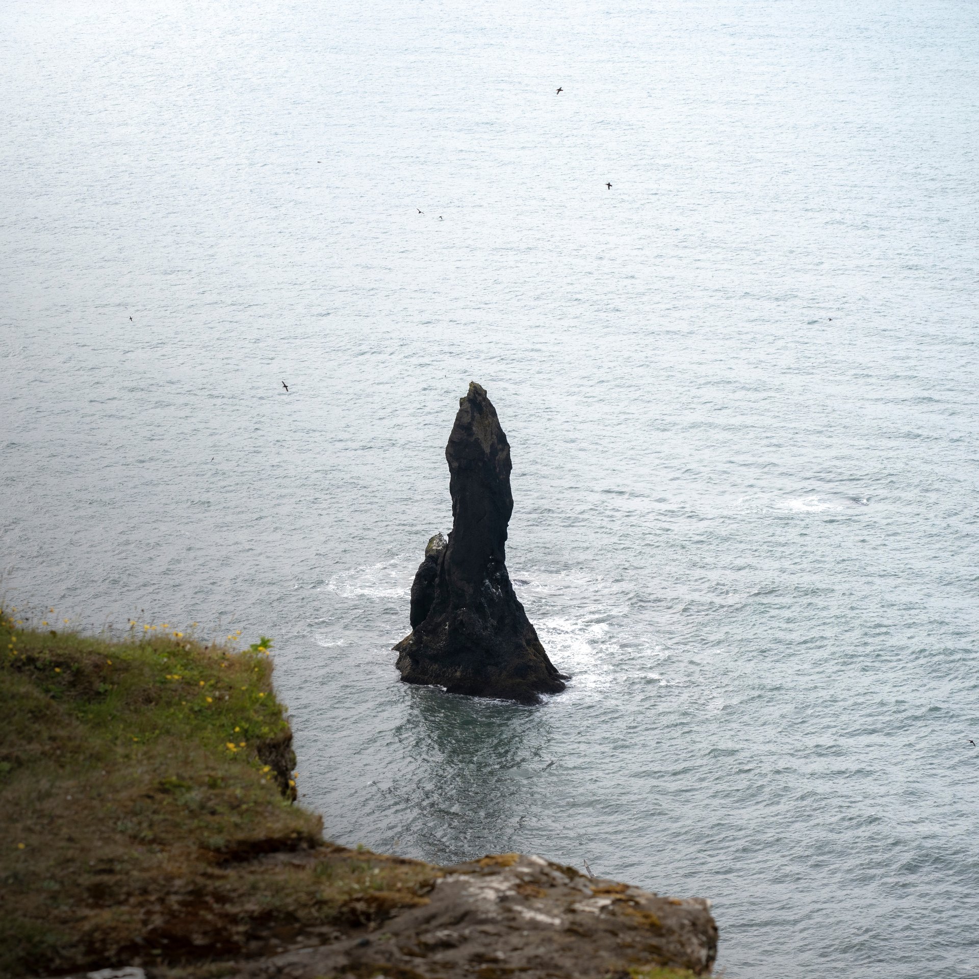 Dyrhólaey natural arch with ocean views