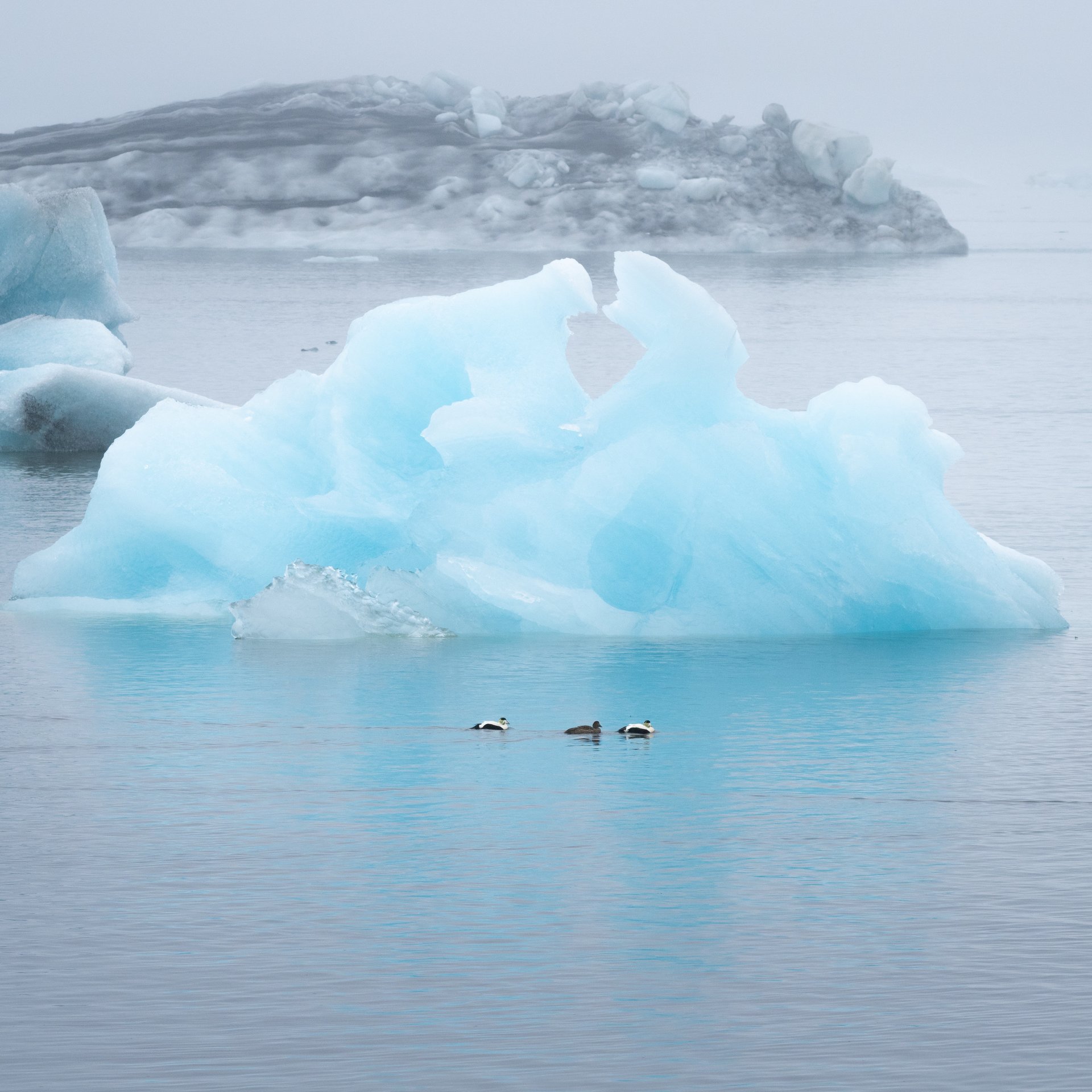 Région sud Vatnajökull avec lagon glaciaire Jökulsárlón, Diamond Beach et Fjallsárlón