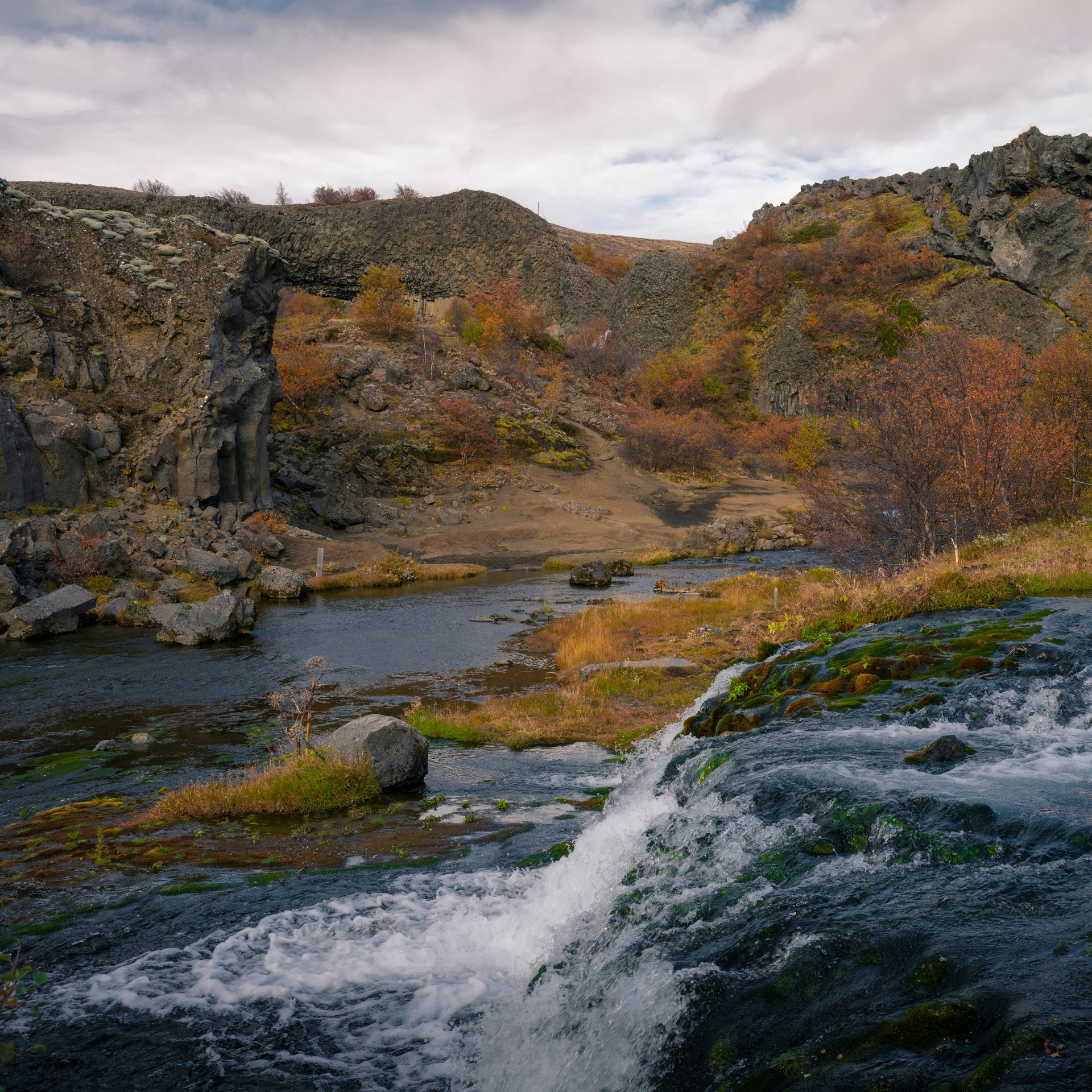 Lush Gjáin valley oasis with multiple small waterfalls, springs and vibrant green vegetation
