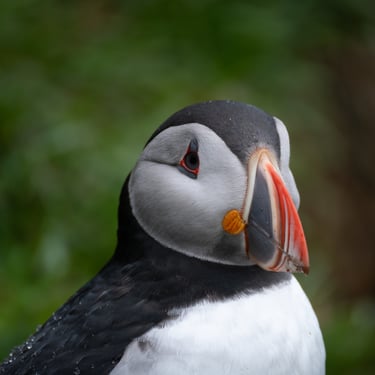 Caldeira Askja avec lac Öskjuvatn et paysage volcanique