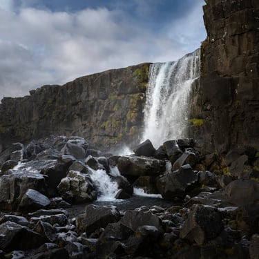 Macareux atlantiques à colonie Borgarfjörður Eystri