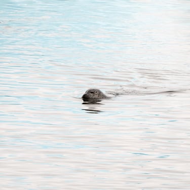Lava Centre interactive exhibition