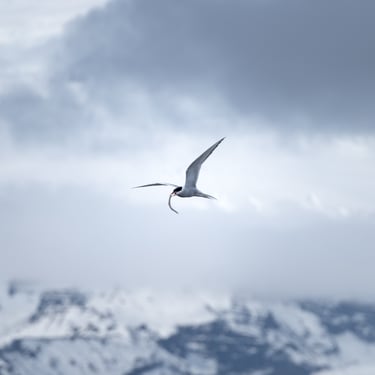 Seljalandsfoss behind the waterfall view