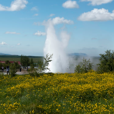 Diamond Beach ice on black sand