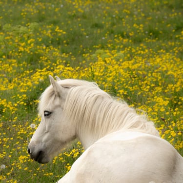 Fontana Spa geothermal pools