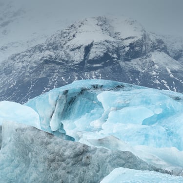 Jökulsárlón glacier lagoon seals