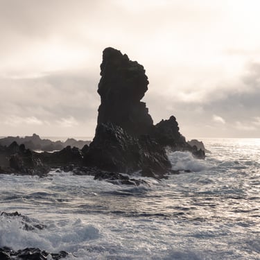 Whale watching off Ólafsvík coast