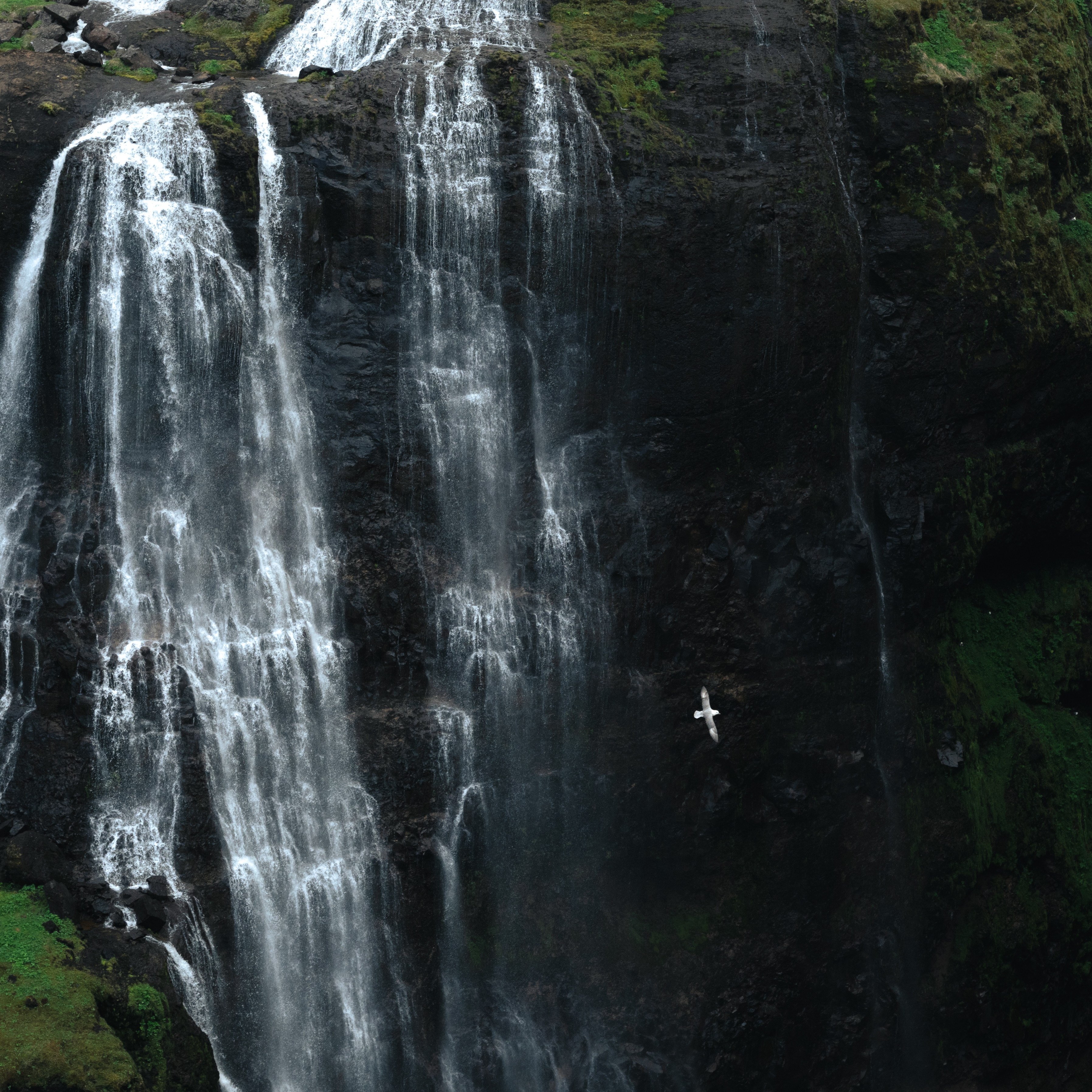 The scenic trail leading to Glymur waterfall through Hvalfjörður valley