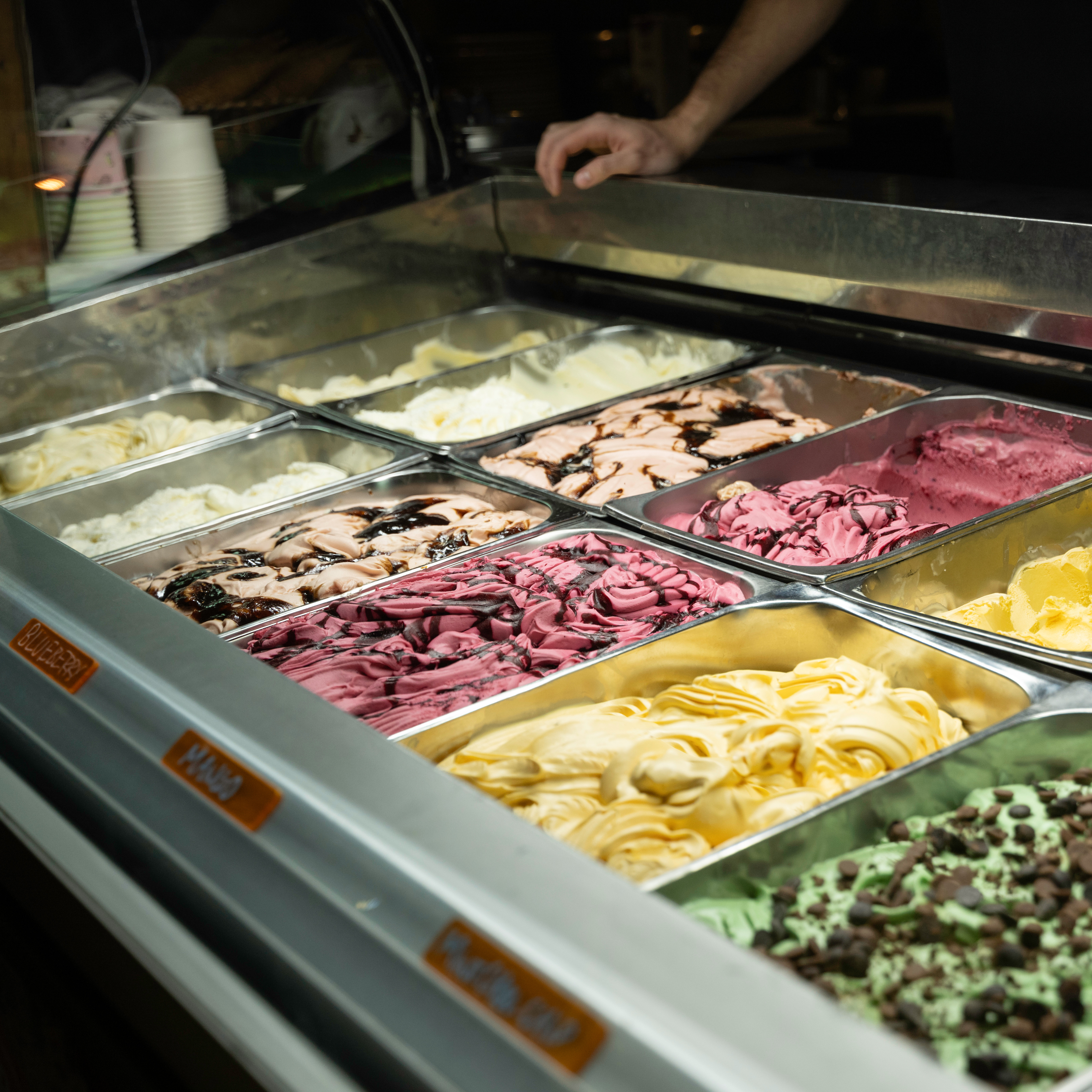 Exploring Þingvellir's dramatic rift valley on a private Golden Circle tour